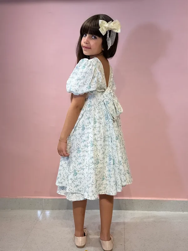 rosella-dress-blue-5